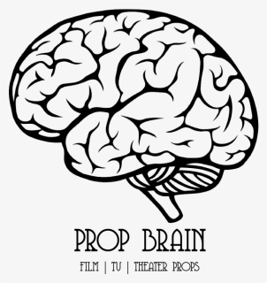 Detail Brain Vector Png Nomer 3
