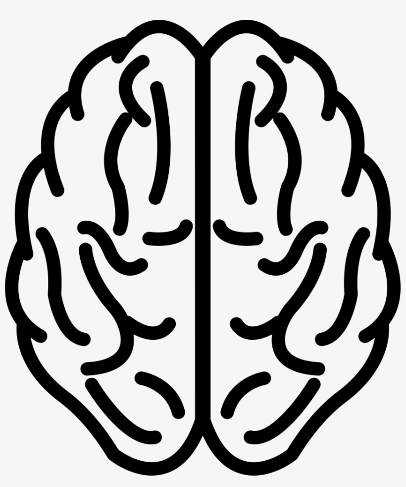 Detail Brain Vector Png Nomer 22