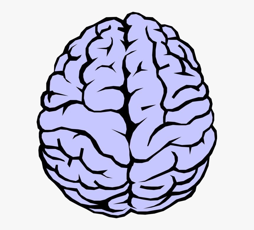 Detail Brain Vector Png Nomer 4