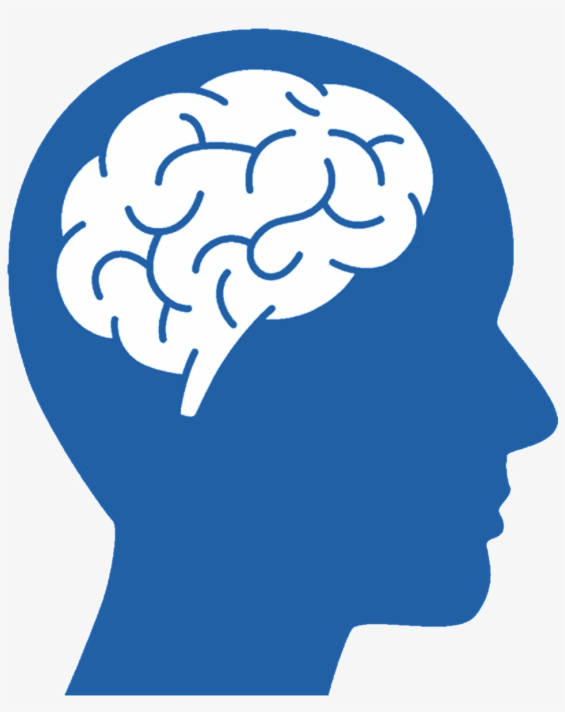 Detail Brain Vector Png Nomer 5