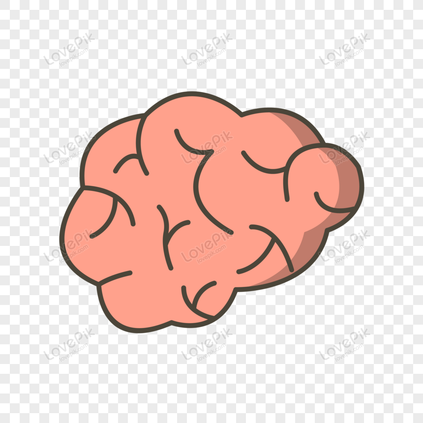 Detail Brain Vector Png Nomer 43