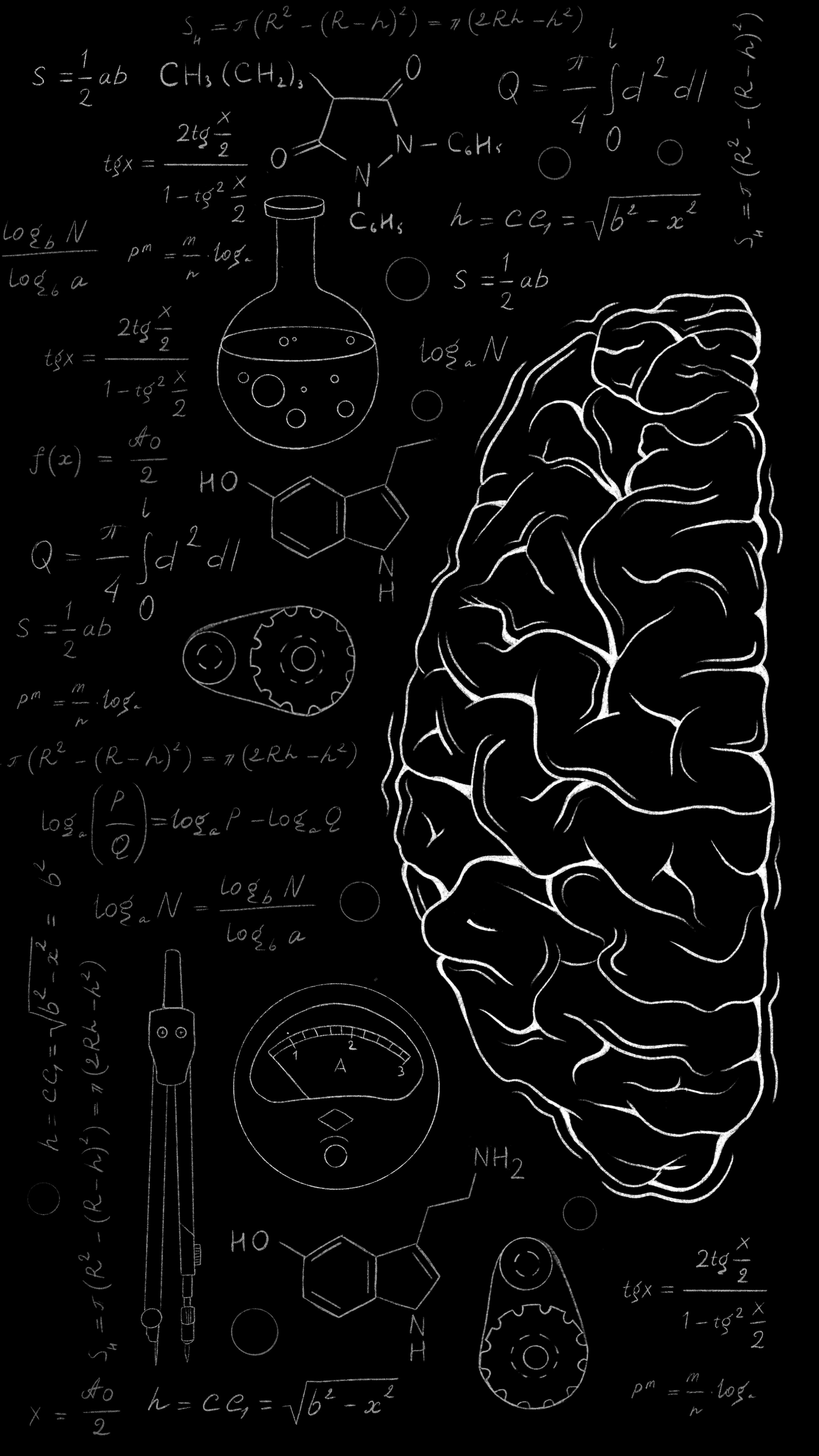 Detail Brain Wallpaper Nomer 16