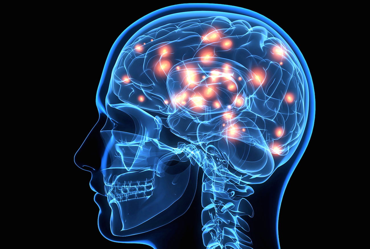 Detail Brain Wallpaper Nomer 31