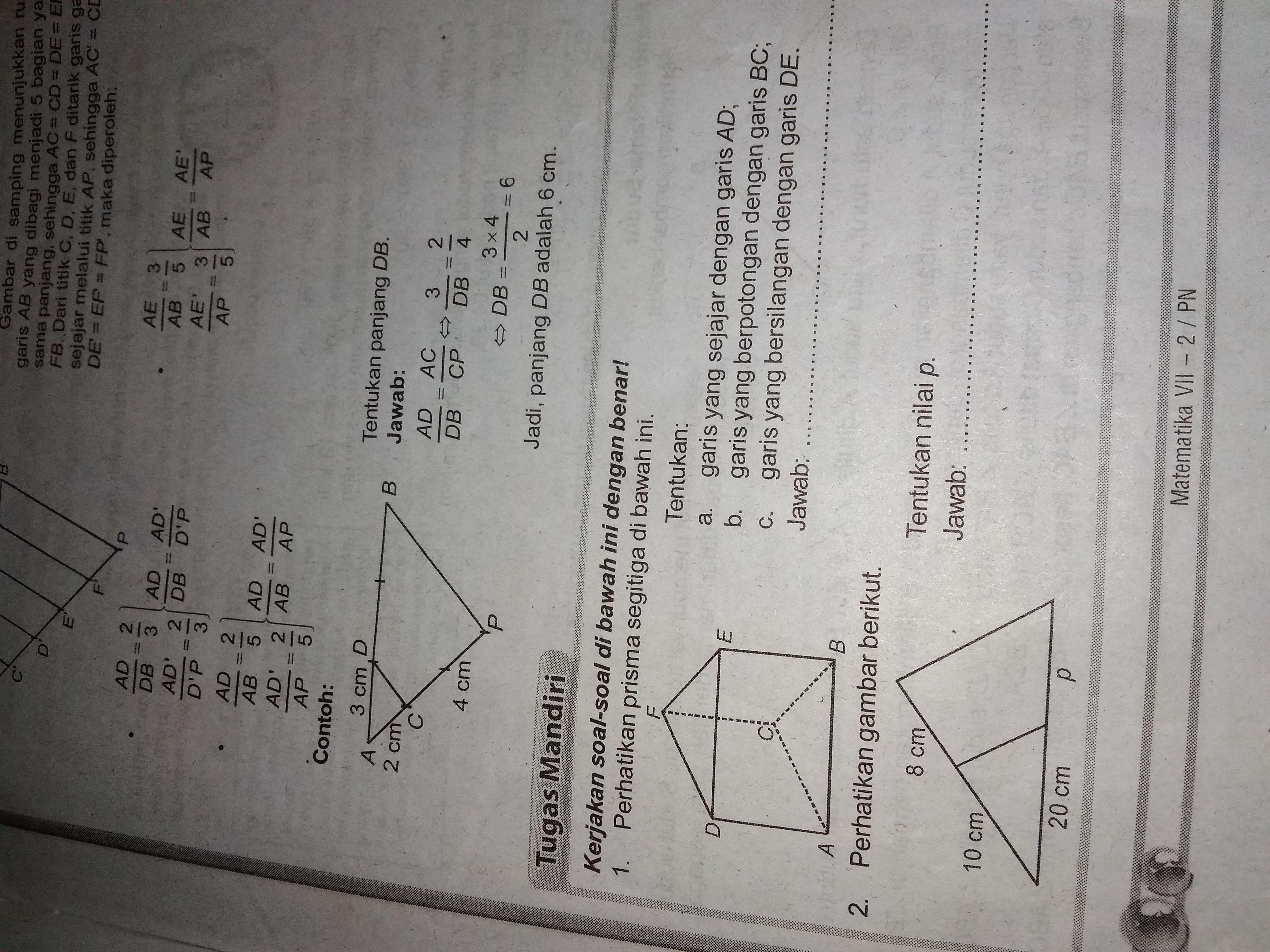 Detail Brainly Matematika Smp Kelas 7 Nomer 17