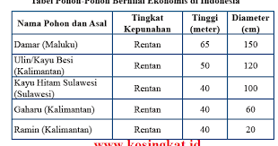 Detail Brainly Matematika Smp Kelas 7 Nomer 40