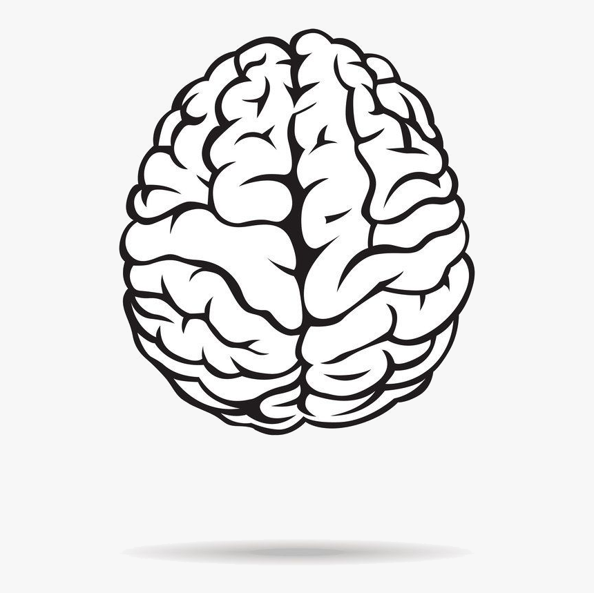 Detail Brains Png Nomer 20