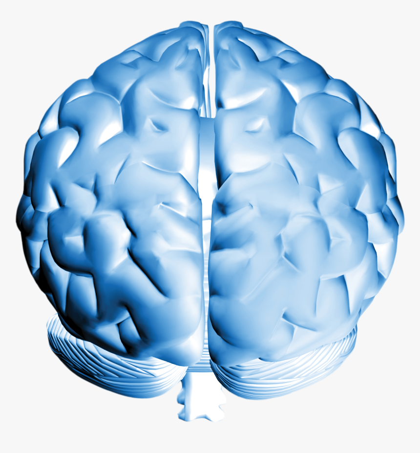 Detail Brains Png Nomer 44