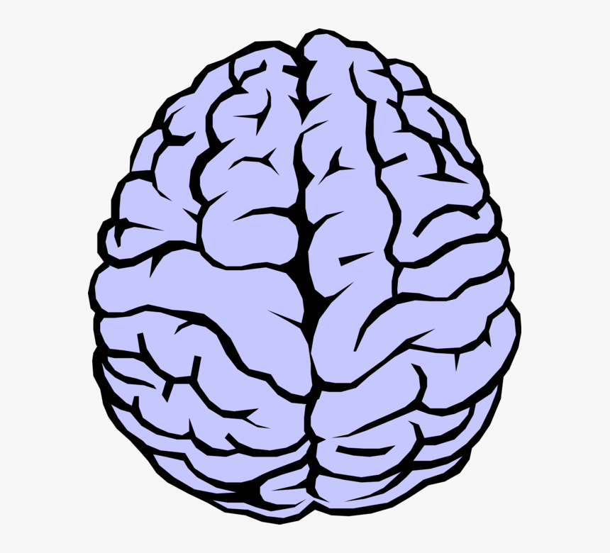 Download Brains Png Nomer 9