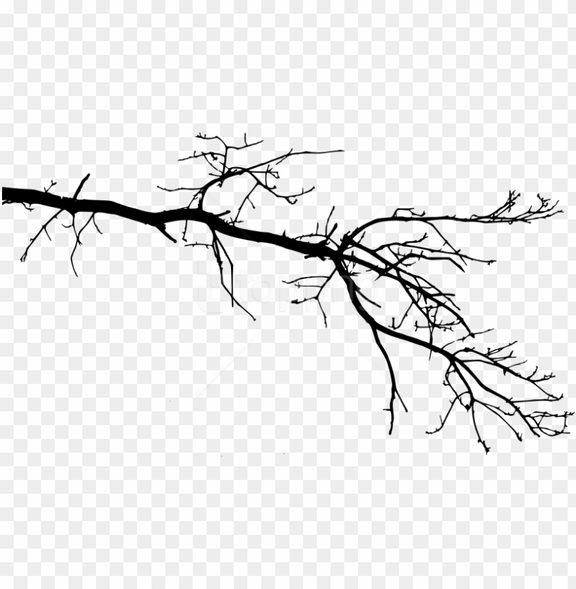 Detail Branch Tree Png Nomer 10