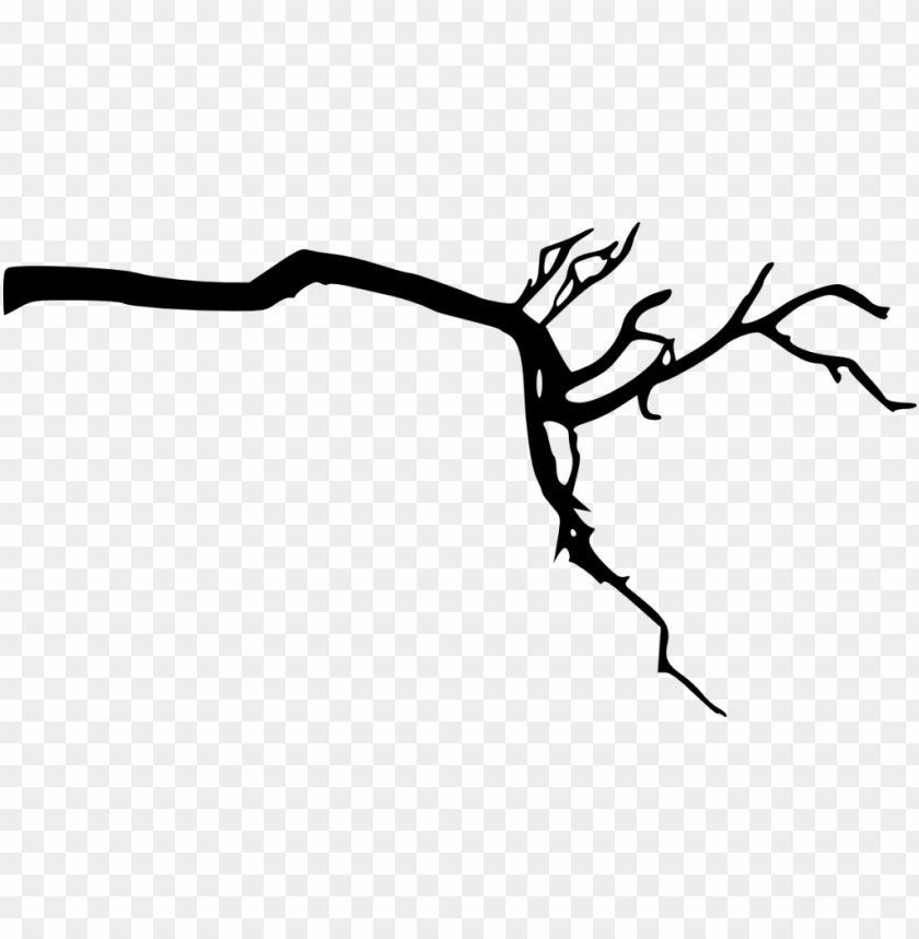 Detail Branch Tree Png Nomer 15