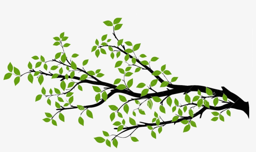 Detail Branch Tree Png Nomer 18