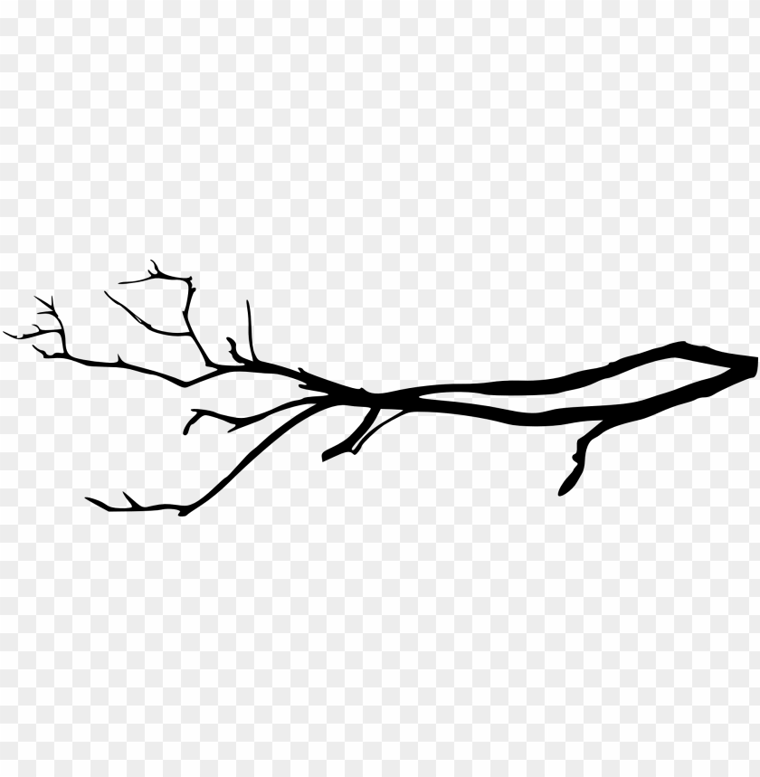 Detail Branch Tree Png Nomer 25