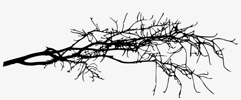 Detail Branch Tree Png Nomer 31