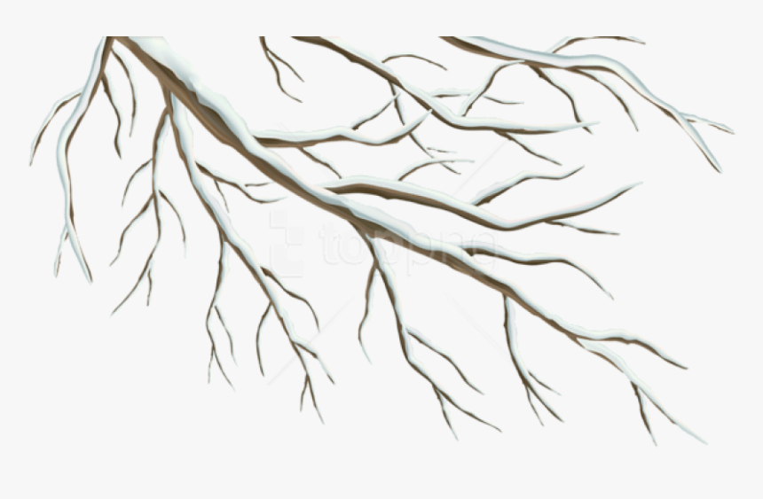 Detail Branch Tree Png Nomer 33