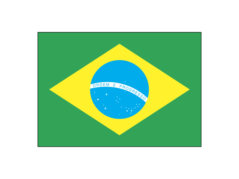 Detail Brazil Logo Png Nomer 34