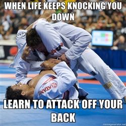 Detail Brazilian Jiu Jitsu Meme Nomer 32