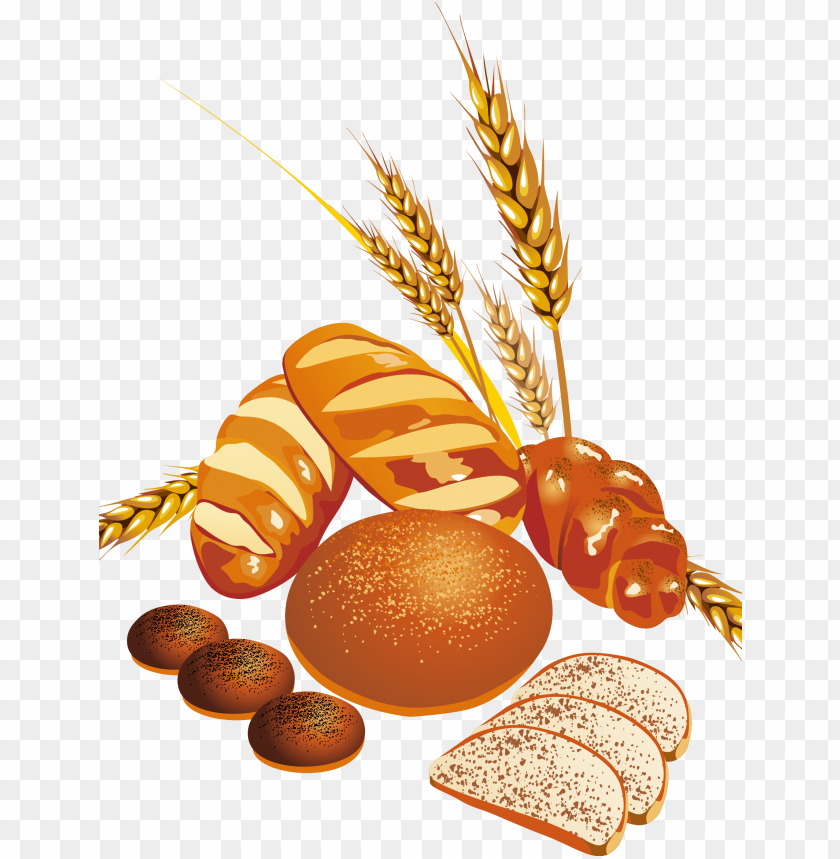 Detail Bread No Background Nomer 46