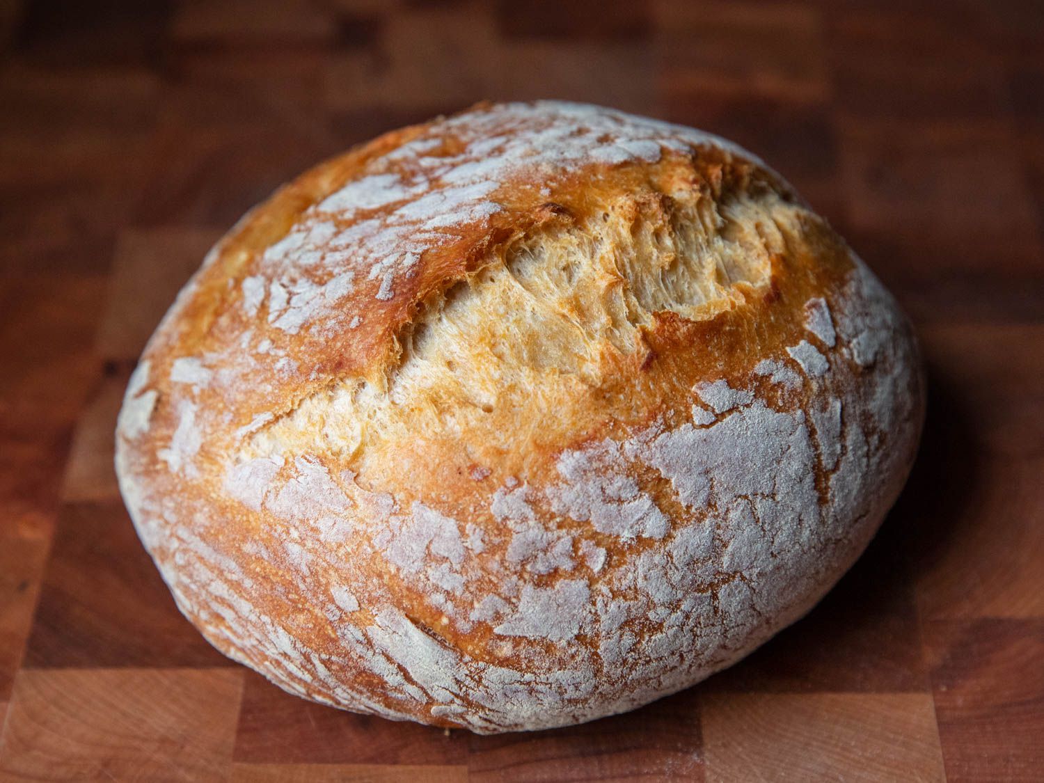 Detail Bread Pic Nomer 18