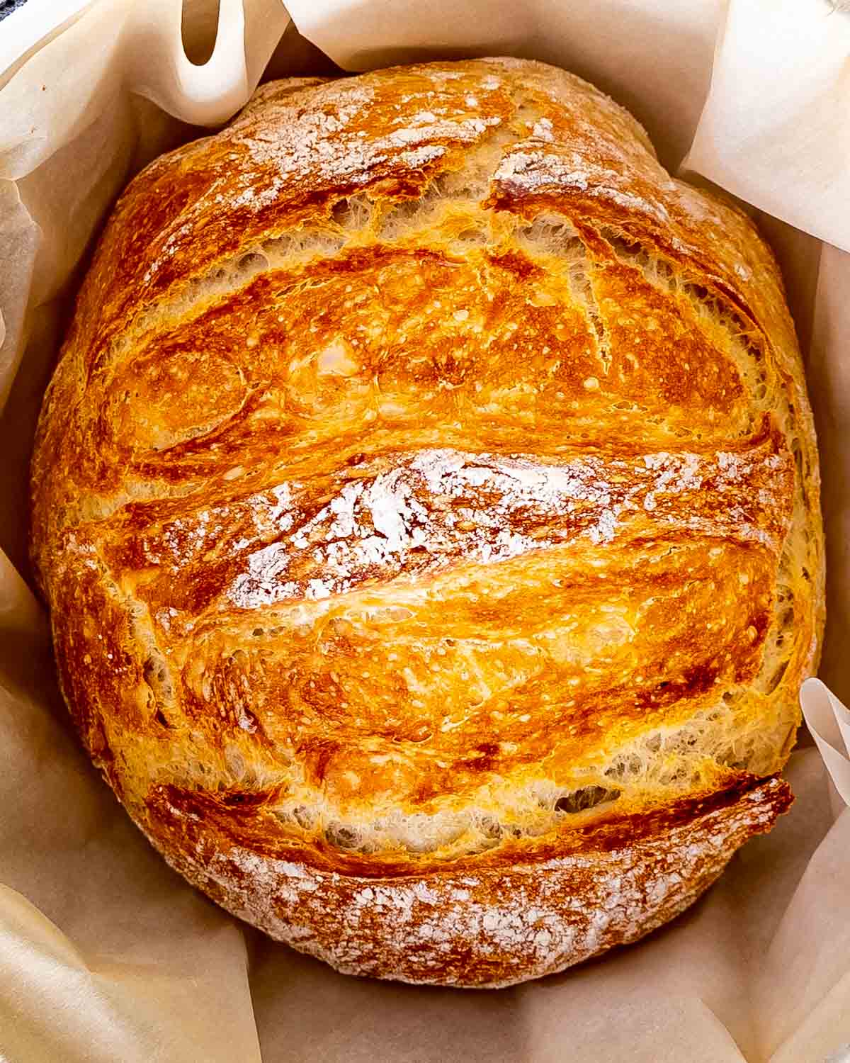 Detail Bread Pic Nomer 20