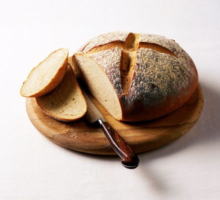 Detail Bread Picture Nomer 33