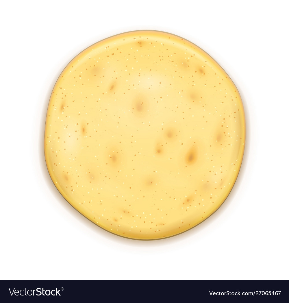 Detail Bread Vector Png Nomer 32