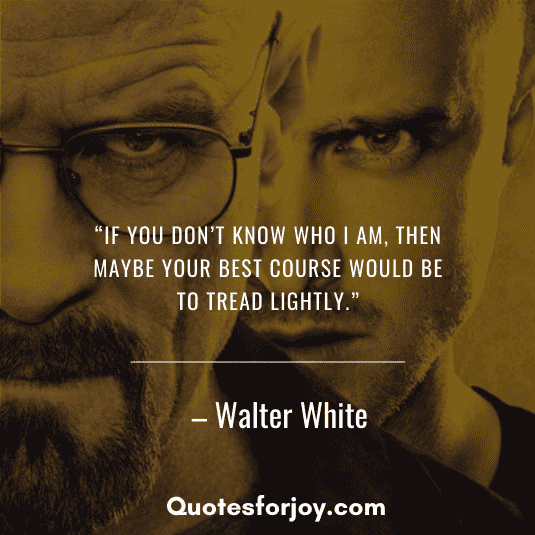 Detail Breaking Bad Quotes Nomer 12