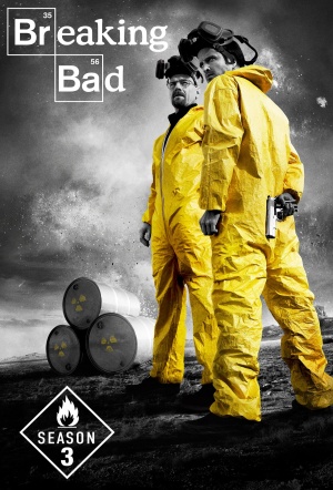 Detail Breaking Bad Season 3 Nomer 8