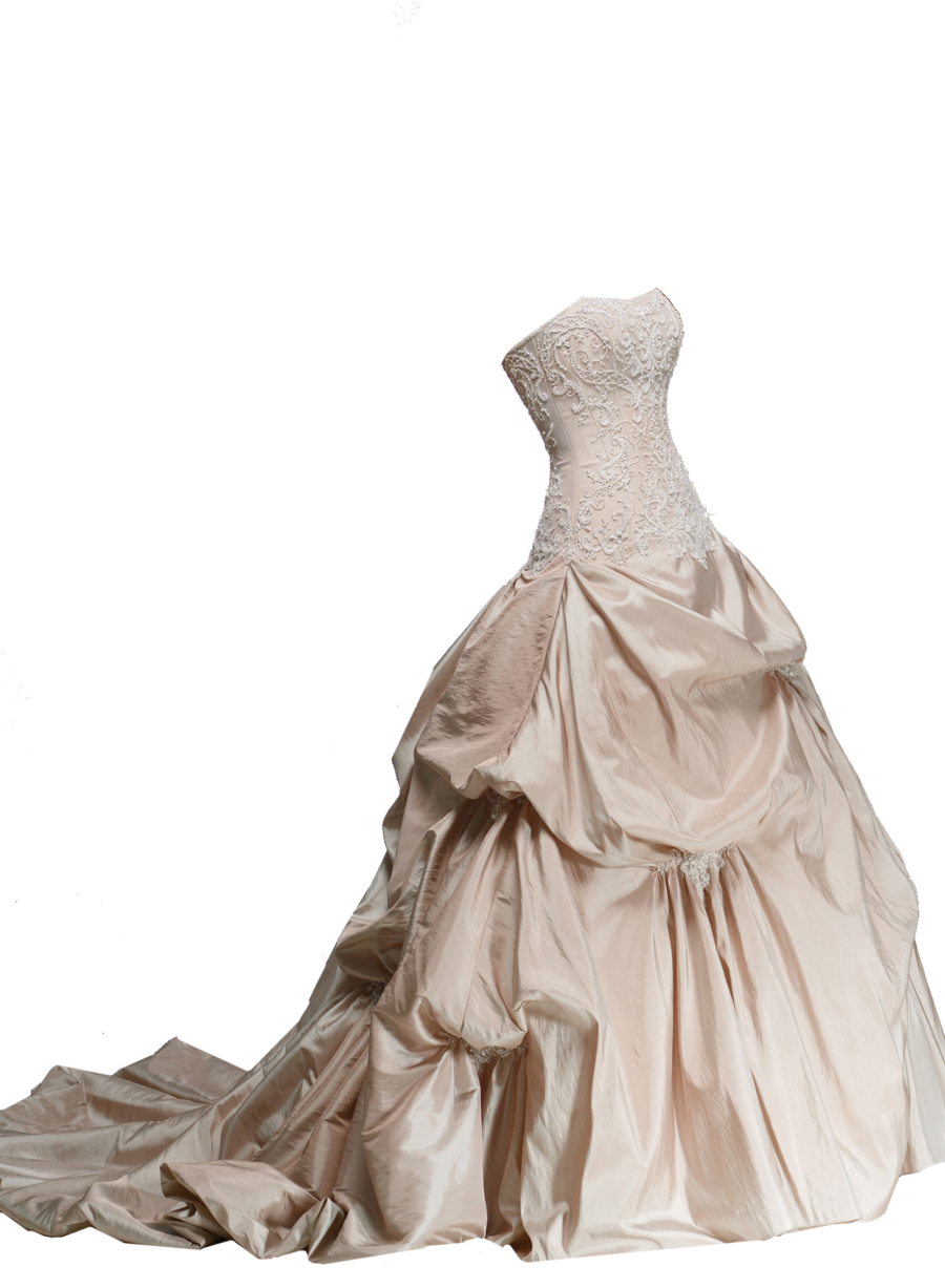 Detail Bride Dress Png Nomer 27