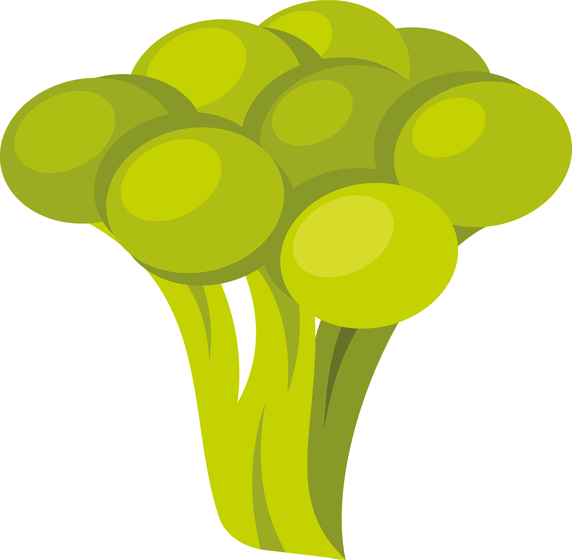 Detail Broccoli Clipart Nomer 48