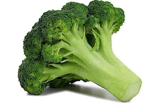Broccoli Download - KibrisPDR