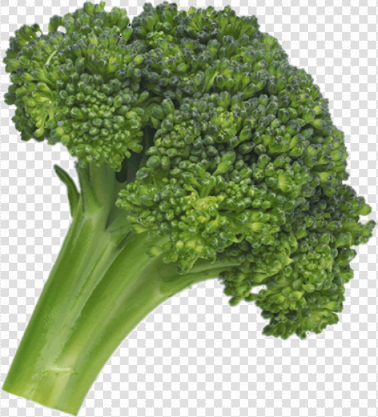 Detail Broccoli Download Nomer 16