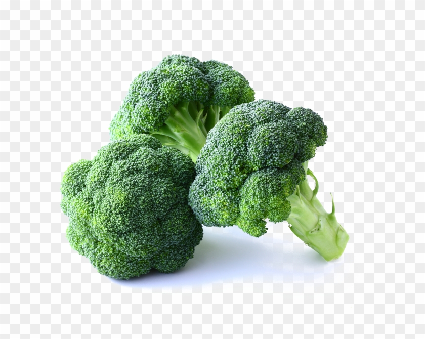 Detail Broccoli Download Nomer 20