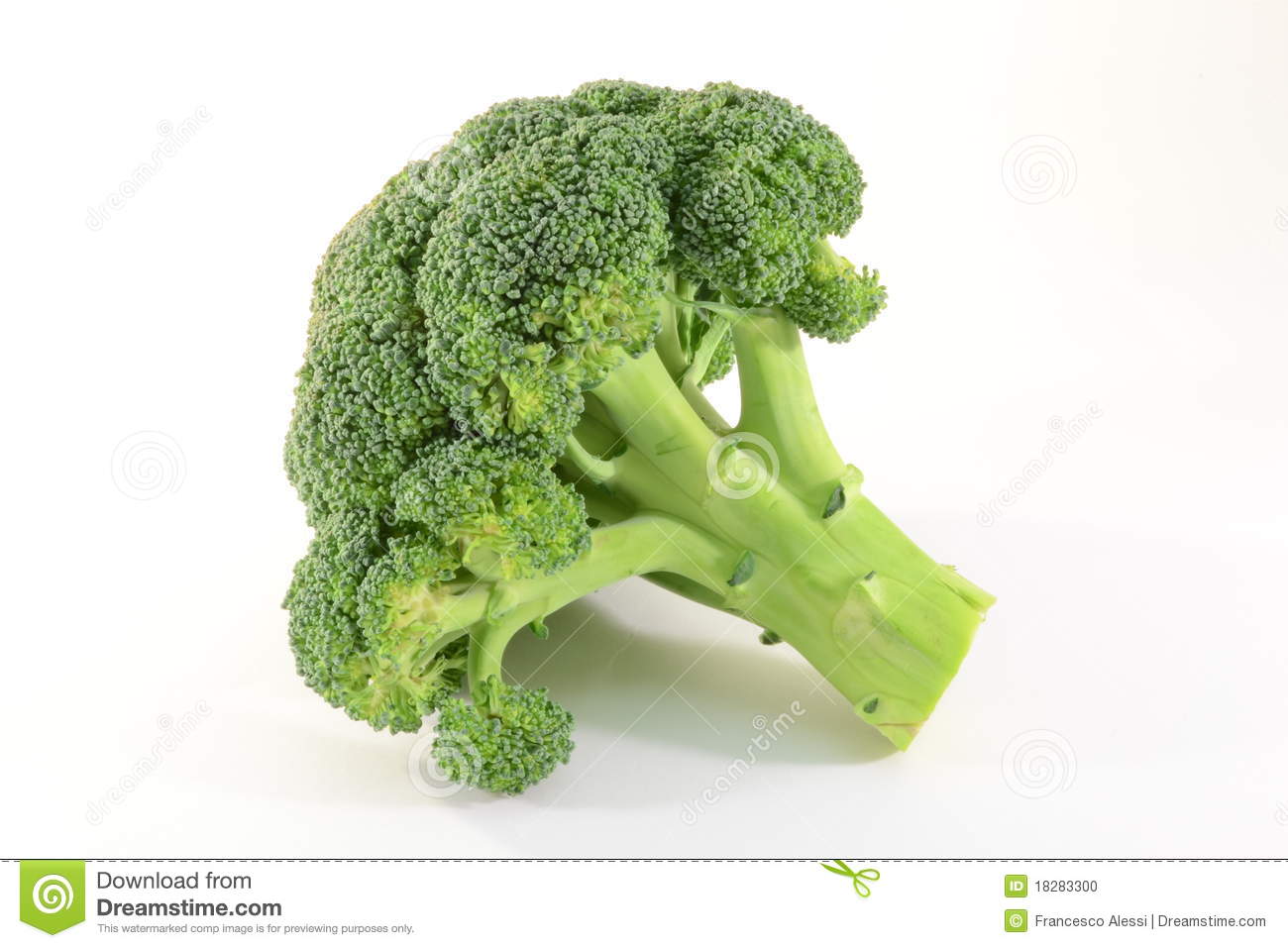 Detail Broccoli Download Nomer 22