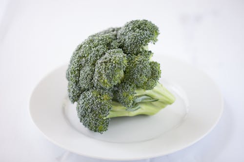 Detail Broccoli Download Nomer 25