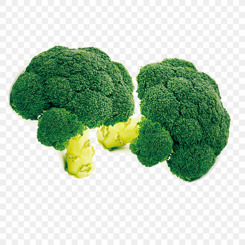 Detail Broccoli Download Nomer 28