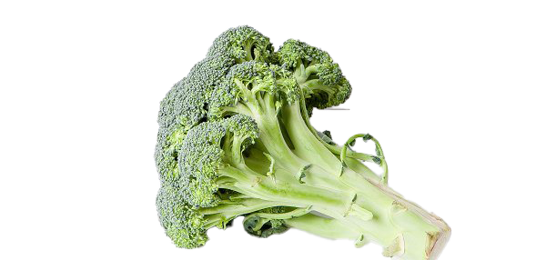 Detail Broccoli Download Nomer 29