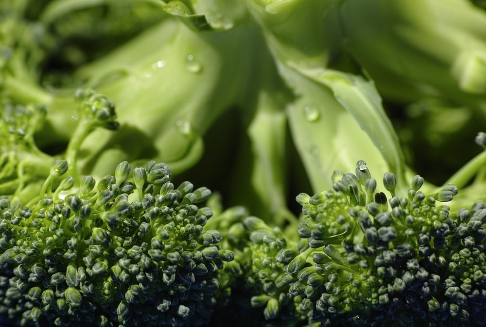 Detail Broccoli Download Nomer 30