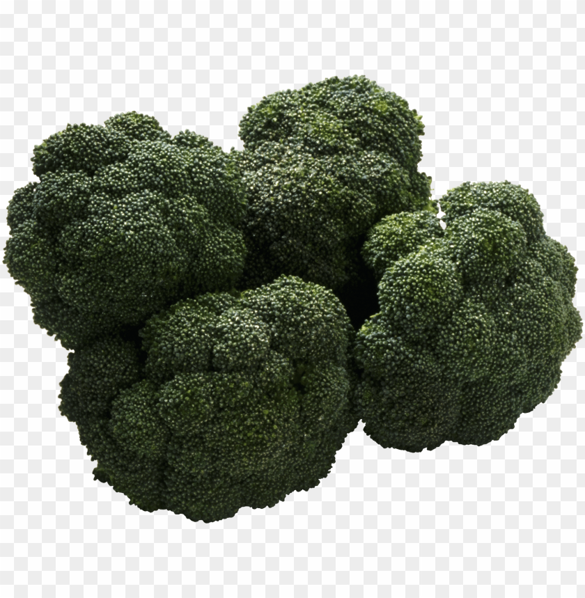 Detail Broccoli Download Nomer 34
