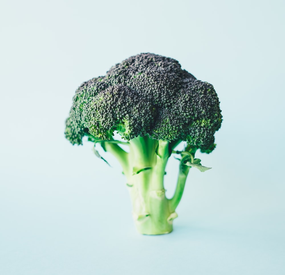 Detail Broccoli Download Nomer 5