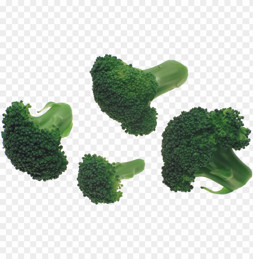 Detail Broccoli Download Nomer 39
