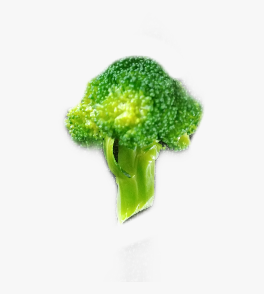 Detail Broccoli Download Nomer 40