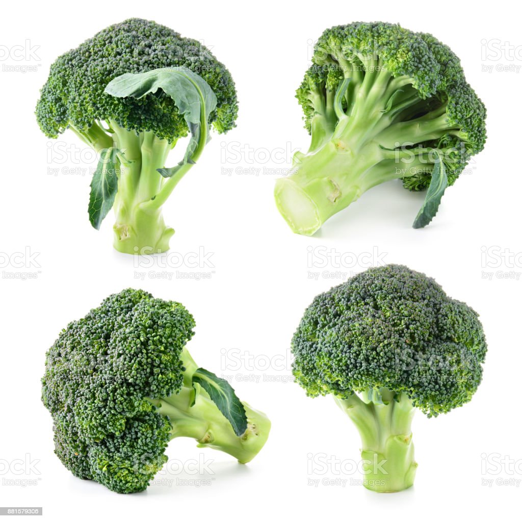 Detail Broccoli Download Nomer 47