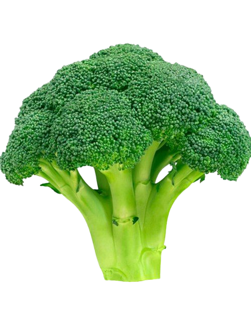 Detail Broccoli Download Nomer 6