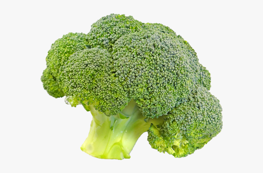 Detail Broccoli Download Nomer 48