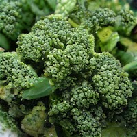 Detail Broccoli Download Nomer 50