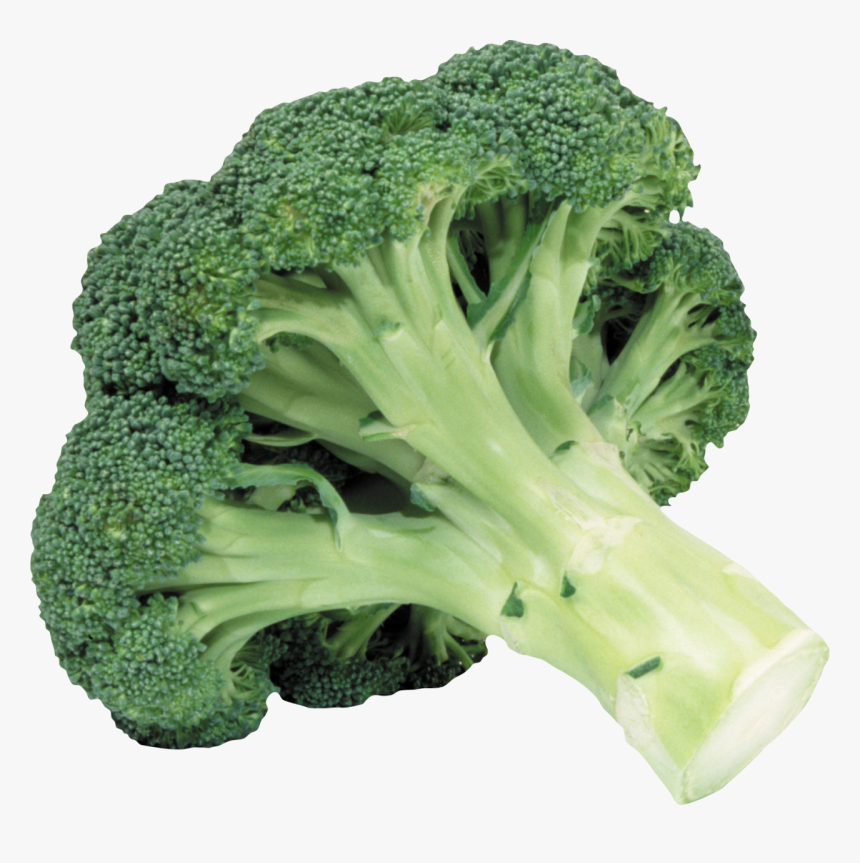 Detail Broccoli Download Nomer 56
