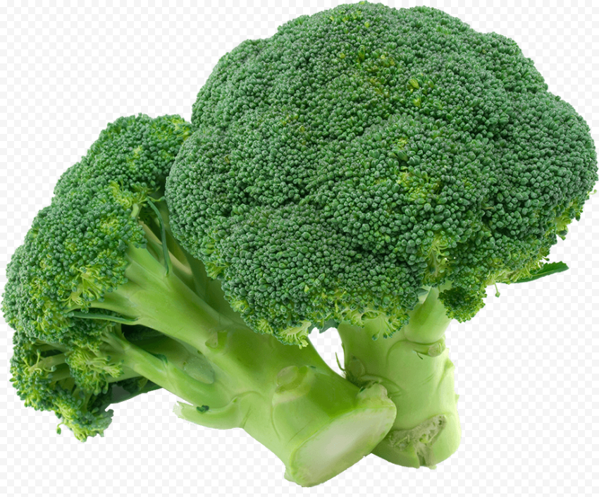 Detail Broccoli Download Nomer 8