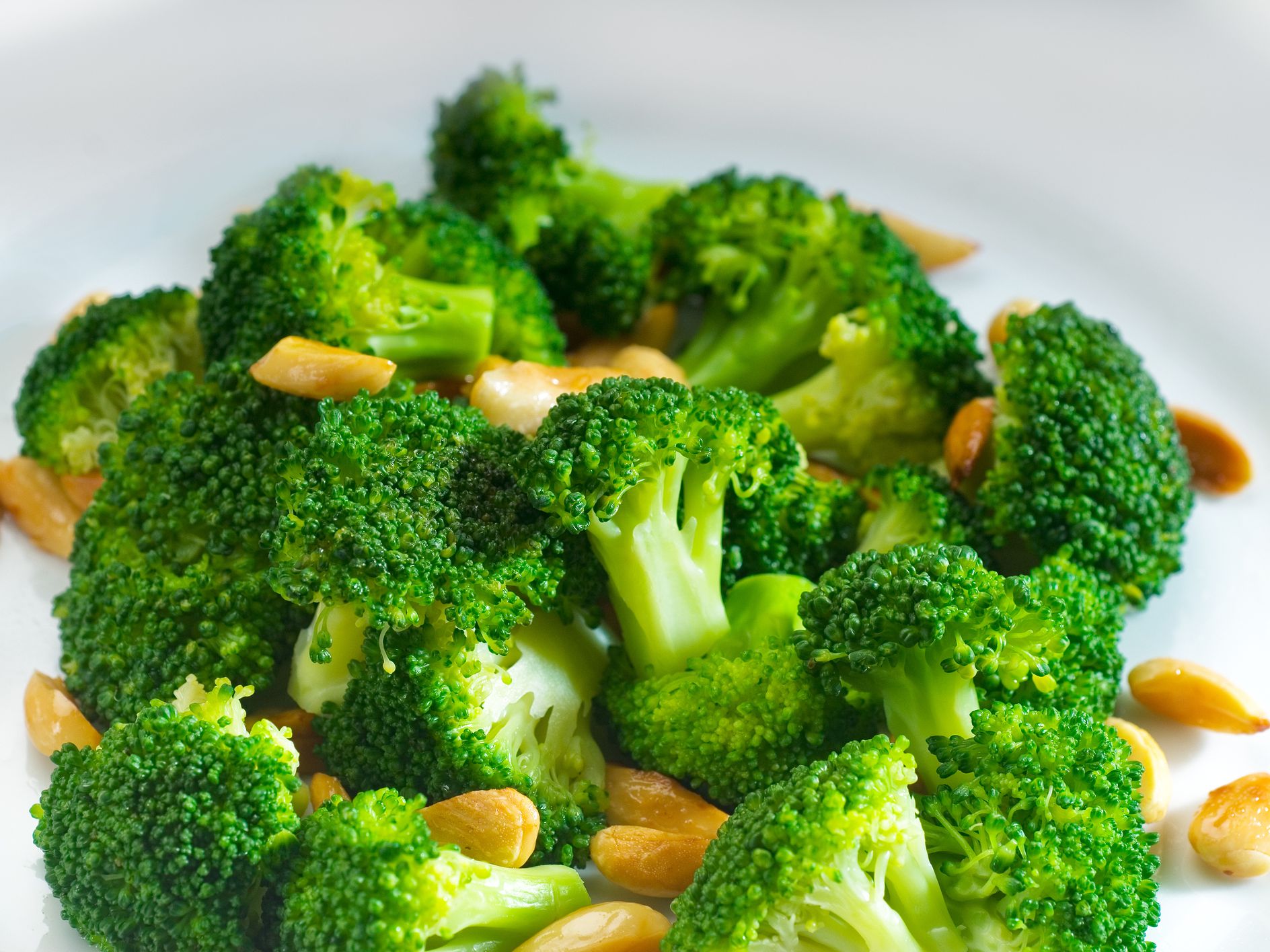 Detail Broccoli Image Nomer 17