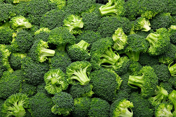 Detail Broccoli Image Nomer 25
