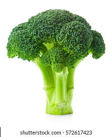 Detail Broccoli Image Nomer 31